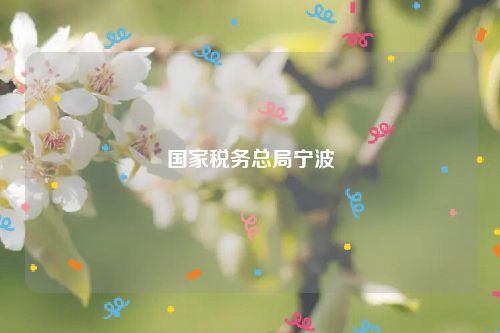 国家税务总局宁波
