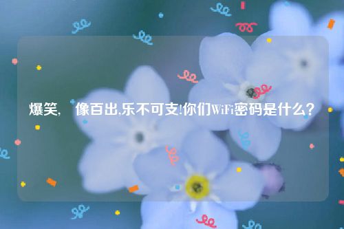 爆笑,囧像百出,乐不可支!你们WiFi密码是什么？
